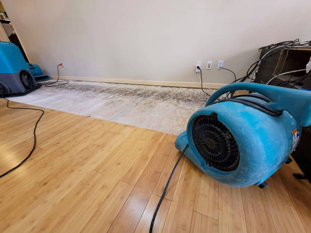 Reliable Basement Flood Cleanup contractor in Pearlington, MS by Hirex Water Damage