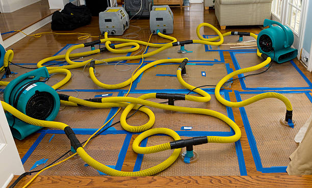 Professional Basement Flood Cleanup technician working in Pearlington, MS